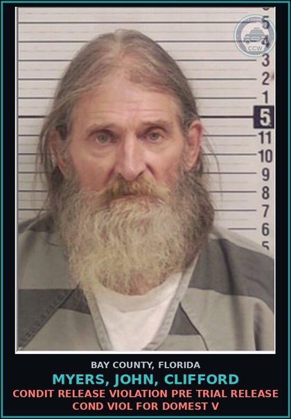 CCW arrest card for MYERS, JOHN, CLIFFORD in Bay County: CONDIT RELEASE VIOLATION PRE TRIAL RELEASE COND VIOL FOR DOMEST V