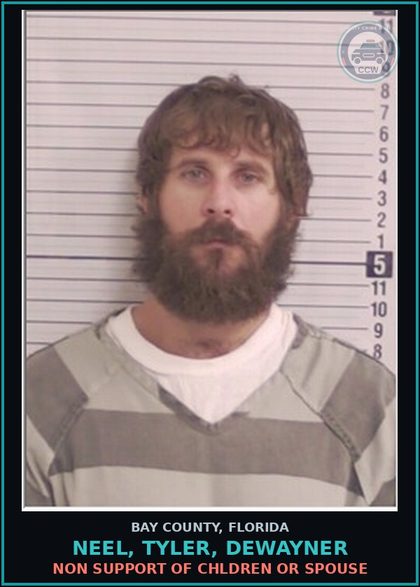 CCW arrest card for NEEL, TYLER, DEWAYNER in Bay County: NON SUPPORT OF CHILDREN OR SPOUSE