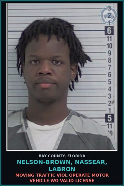 CCW arrest card for NELSON-BROWN, NASSEAR, LABRON in Bay County: MOVING TRAFFIC VIOL OPERATE MOTOR VEHICLE WO VALID LICENSE