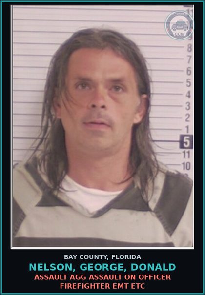 CCW arrest card for NELSON, GEORGE, DONALD in Bay County: TRESPASSING FAIL TO LEAVE PROPERTY UPON ORDER BY OWNER