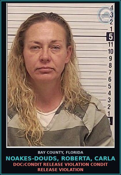 CCW arrest card for NOAKES-DOUDS, ROBERTA, CARLA in Bay County: DOC:CONDIT RELEASE VIOLATION CONDIT RELEASE VIOLATION
