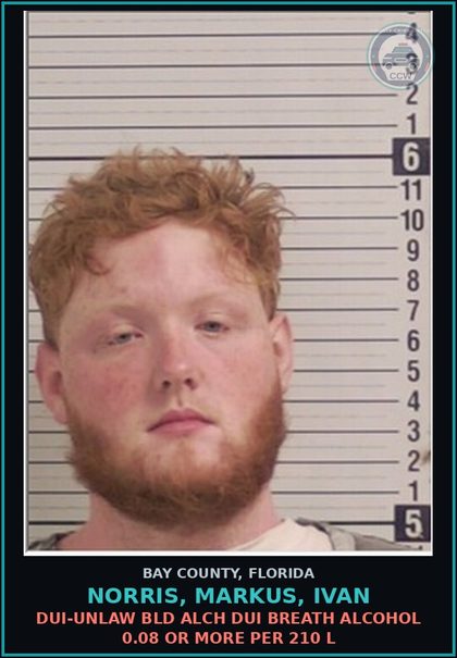 CCW arrest card for NORRIS, MARKUS, IVAN in Bay County: FLEE/ELUDE POLICE FLEE ELUDE LEO WITH LIGHTS SIREN ACTIVE