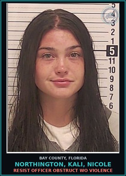 CCW arrest card for NORTHINGTON, KALI, NICOLE in Bay County: RESIST OFFICER OBSTRUCT WO VIOLENCE