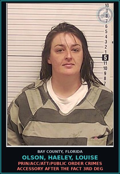 CCW arrest card for OLSON, HAELEY, LOUISE in Bay County: PRIN/ACC/ATT:PUBLIC ORDER CRIMES ACCESSORY AFTER THE FACT 3RD DEG