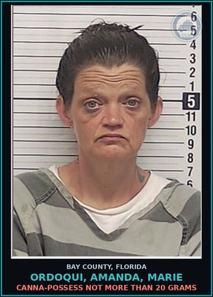 CCW arrest card for ORDOQUI, AMANDA, MARIE in Bay County: Canna-POSSESS NOT MORE THAN 20 GRAMS