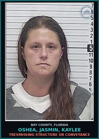 CCW arrest card for OSHEA, JASMIN, KAYLEE in Bay County: DRUGS-POSSESS CNTRL SUB WO PRESCRIPTION
