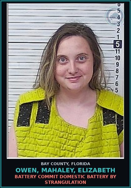 CCW arrest card for OWEN, MAHALEY, ELIZABETH in Bay County: BATTERY COMMIT DOMESTIC BATTERY BY STRANGULATION