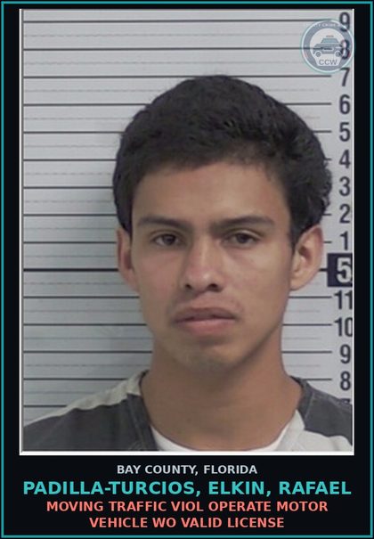 CCW arrest card for PADILLA-TURCIOS, ELKIN, RAFAEL in Bay County: MOVING TRAFFIC VIOL OPERATE MOTOR VEHICLE WO VALID LICENSE