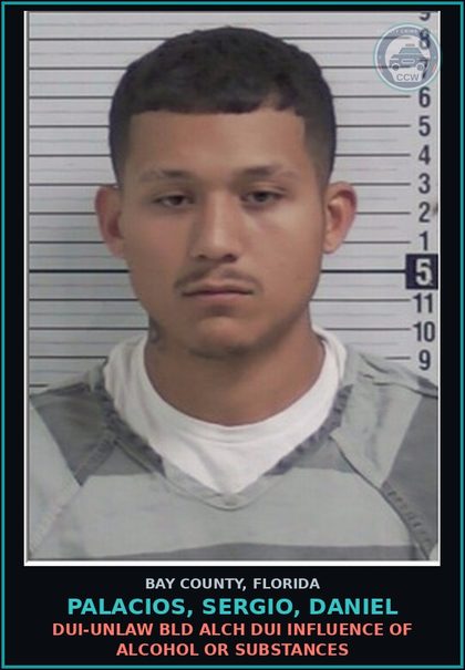 CCW arrest card for PALACIOS, SERGIO, DANIEL in Bay County: DUI-UNLAW BLD ALCH DUI INFLUENCE OF ALCOHOL OR DRUGS