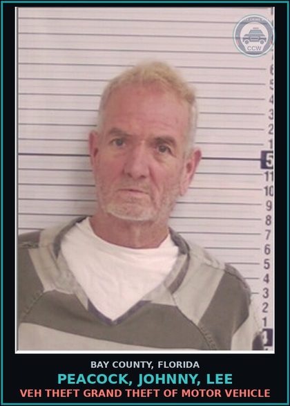 CCW arrest card for PEACOCK, JOHNNY, LEE in Bay County: VEH THEFT GRAND THEFT OF MOTOR VEHICLE