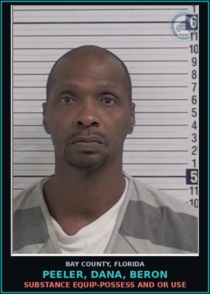 CCW arrest card for PEELER, DANA, BERON in Bay County: DRUG EQUIP-POSSESS AND OR USE