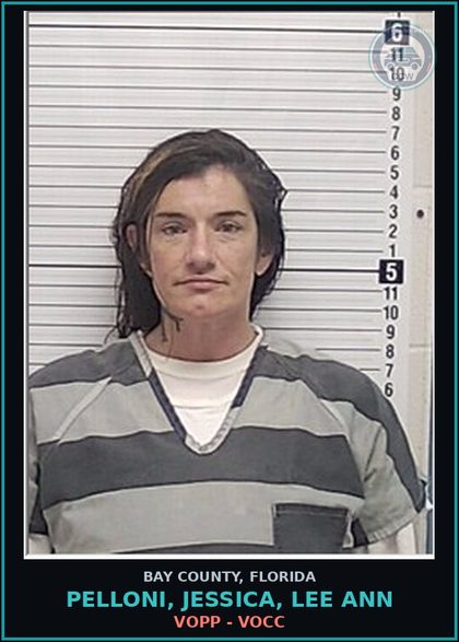 CCW arrest card for PELLONI, JESSICA, LEE ANN in Bay County: VOPP - VOCC