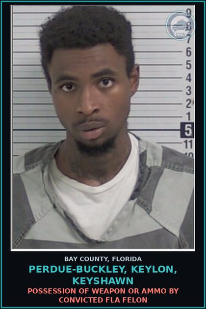 CCW arrest card for PERDUE-BUCKLEY, KEYLON, KEYSHAWN in Bay County: POSSESSION OF WEAPON OR AMMO BY CONVICTED FLA FELON