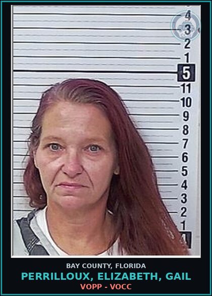 CCW arrest card for PERRILLOUX, ELIZABETH, GAIL in Bay County: VOPP - VOCC