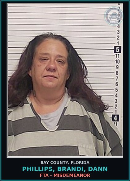CCW arrest card for PHILLIPS, BRANDI, DANN in Bay County: FTA - MISDEMEANOR