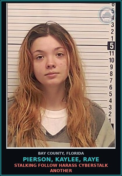 CCW arrest card for PIERSON, KAYLEE, RAYE in Bay County: STALKING FOLLOW HARASS CYBERSTALK ANOTHER