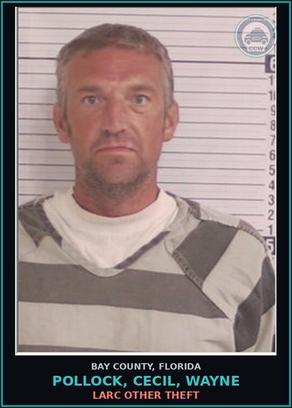 CCW arrest card for POLLOCK, CECIL, WAYNE in Bay County: LARC OTHER THEFT