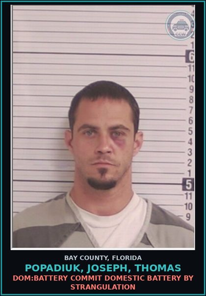 CCW arrest card for POPADIUK, JOSEPH, THOMAS in Bay County: DISORDERLY CONDUCT BRAWLING FIGHTING CORRUPT PUBLIC MORAL DECENCY