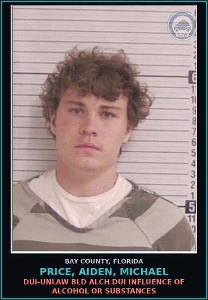 CCW arrest card for PRICE, AIDEN, MICHAEL in Bay County: DUI-UNLAW BLD ALCH DUI INFLUENCE OF ALCOHOL OR DRUGS