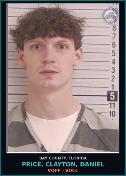 CCW arrest card for PRICE, CLAYTON, DANIEL in Bay County: VOPP - VOCC