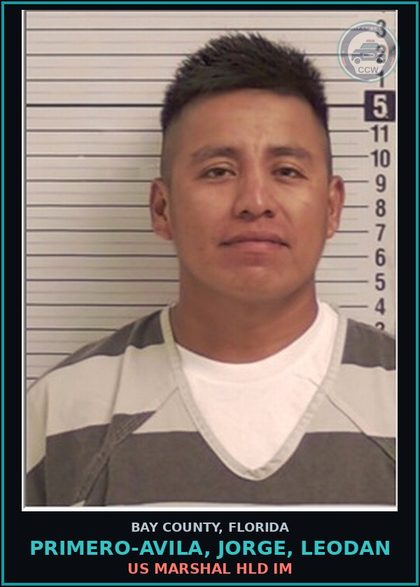 CCW arrest card for PRIMERO-AVILA, JORGE, LEODAN in Bay County: US MARSHAL HLD IM