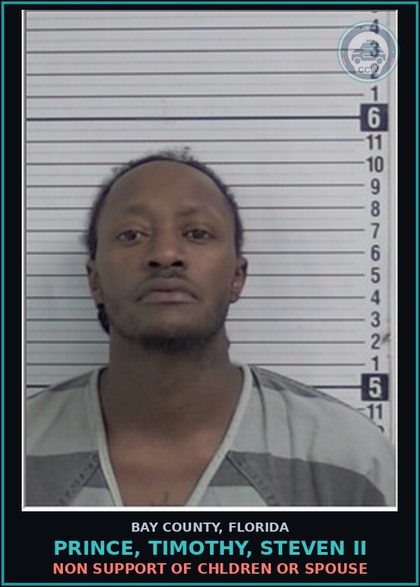 CCW arrest card for PRINCE, TIMOTHY, STEVEN II in Bay County: NON SUPPORT OF CHILDREN OR SPOUSE