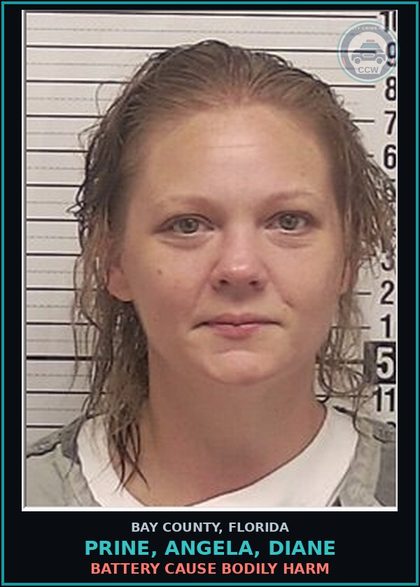 CCW arrest card for PRINE, ANGELA, DIANE in Bay County: BATTERY CAUSE BODILY HARM