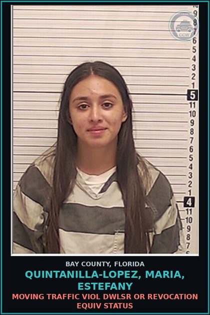 CCW arrest card for QUINTANILLA-LOPEZ, MARIA, ESTEFANY in Bay County: MOVING TRAFFIC VIOL DWLSR OR REVOCATION EQUIV STATUS