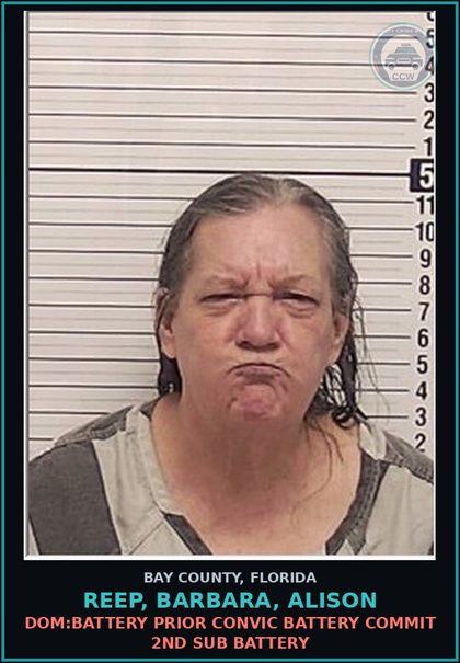 CCW arrest card for REEP, BARBARA, ALISON in Bay County: DOM:BATTERY PRIOR CONVIC BATTERY COMMIT 2ND SUB BATTERY