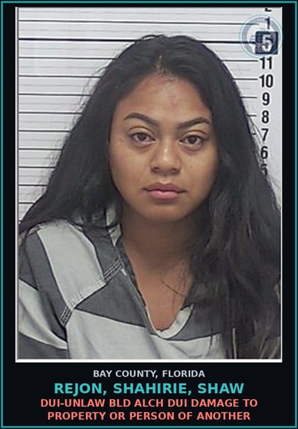 CCW arrest card for REJON, SHAHIRIE, SHAW in Bay County: DUI-UNLAW BLD ALCH DUI DAMAGE TO PROPERTY OR PERSON OF ANOTHER