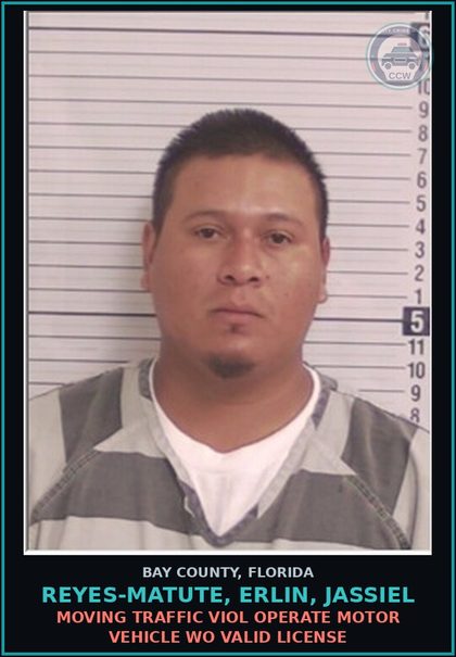 CCW arrest card for REYES-MATUTE, ERLIN, JASSIEL in Bay County: MOVING TRAFFIC VIOL OPERATE MOTOR VEHICLE WO VALID LICENSE