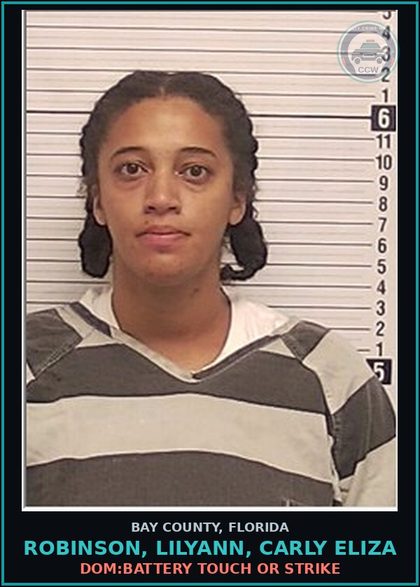 CCW arrest card for ROBINSON, LILYANN, CARLY ELIZA in Bay County: DISTURBING PEACE BREACH OF THE PEACE