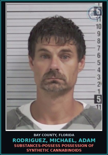 CCW arrest card for RODRIGUEZ, MICHAEL, ADAM in Bay County: RESIST OFFICER OBSTRUCT WO VIOLENCE