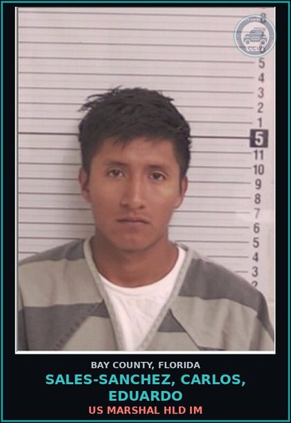 CCW arrest card for SALES-SANCHEZ, CARLOS, EDUARDO in Bay County: US MARSHAL HLD IM