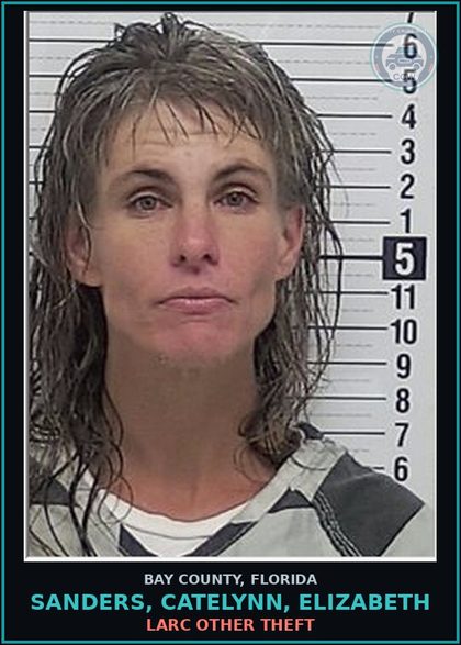 CCW arrest card for SANDERS, CATELYNN, ELIZABETH in Bay County: LARC OTHER THEFT