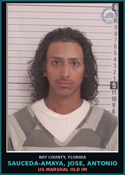 CCW arrest card for SAUCEDA-AMAYA, JOSE, ANTONIO in Bay County: US MARSHAL HLD IM