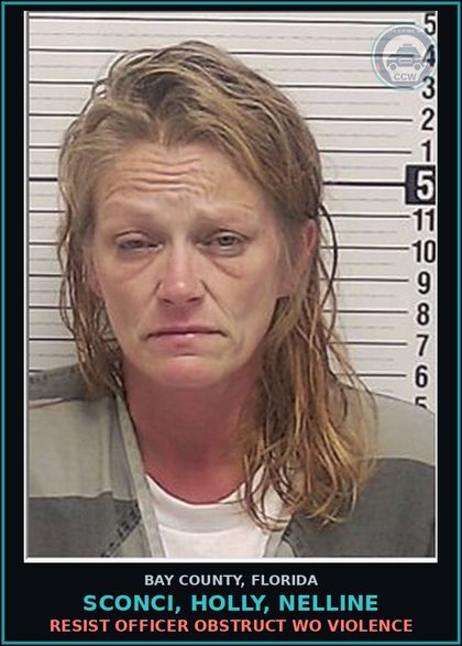 CCW arrest card for SCONCI, HOLLY, NELLINE in Bay County: RESIST OFFICER OBSTRUCT WO VIOLENCE