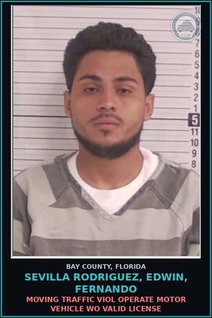 CCW arrest card for SEVILLA RODRIGUEZ, EDWIN, FERNANDO in Bay County: MOVING TRAFFIC VIOL OPERATE MOTOR VEHICLE WO VALID LICENSE