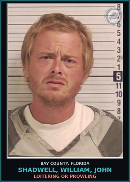 CCW arrest card for SHADWELL, WILLIAM, JOHN in Bay County: LOITERING OR PROWLING