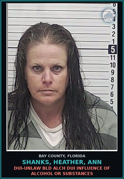 CCW arrest card for SHANKS, HEATHER, ANN in Bay County: DUI-UNLAW BLD ALCH DUI INFLUENCE OF ALCOHOL OR DRUGS