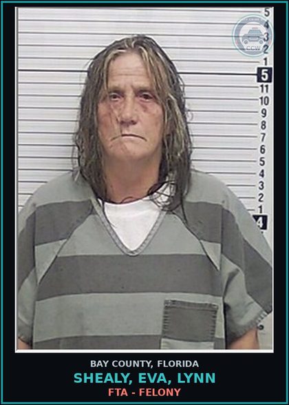 CCW arrest card for SHEALY, EVA, LYNN in Bay County: VOPP - VOCC