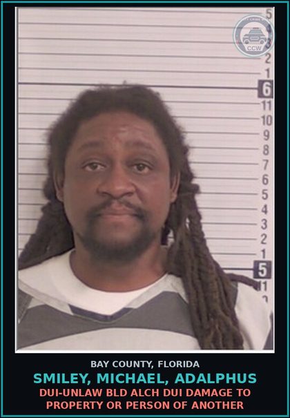 CCW arrest card for SMILEY, MICHAEL, ADALPHUS in Bay County: DUI-UNLAW BLD ALCH DUI DAMAGE TO PROPERTY OR PERSON OF ANOTHER