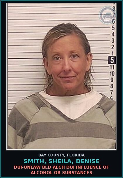 CCW arrest card for SMITH, SHEILA, DENISE in Bay County: DUI-UNLAW BLD ALCH DUI INFLUENCE OF ALCOHOL OR DRUGS