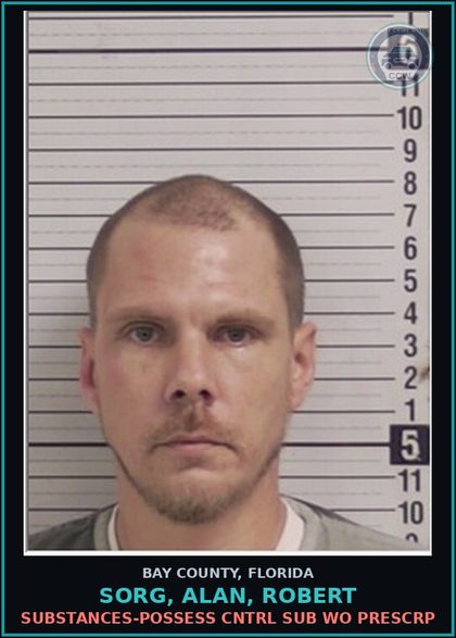 CCW arrest card for SORG, ALAN, ROBERT in Bay County: DRUGS-POSSESS CNTRL SUB WO PRESCRIPTION