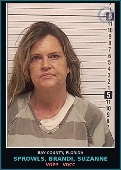 CCW arrest card for SPROWLS, BRANDI, SUZANNE in Bay County: VOPP - VOCC