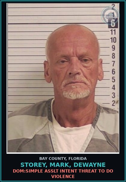CCW arrest card for STOREY, MARK, DEWAYNE in Bay County: DOM:SIMPLE ASSLT INTENT THREAT TO DO VIOLENCE