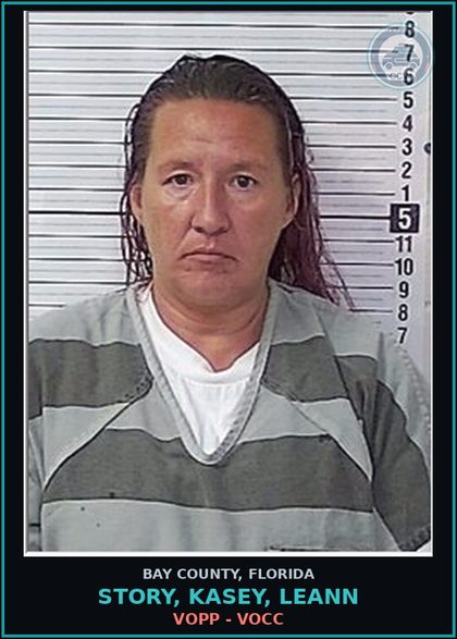 CCW arrest card for STORY, KASEY, LEANN in Bay County: VOPP - VOCC