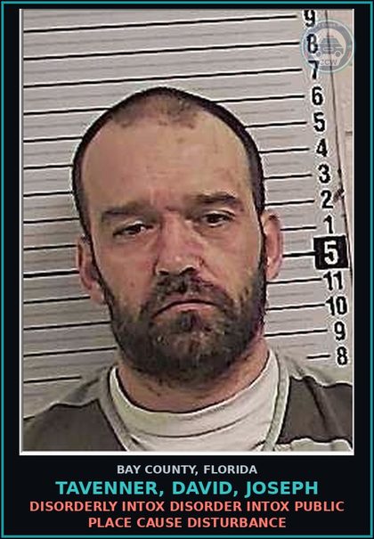 CCW arrest card for TAVENNER, DAVID, JOSEPH in Bay County: DISORDERLY INTOX DISORDER INTOX PUBLIC PLACE CAUSE DISTURBANCE