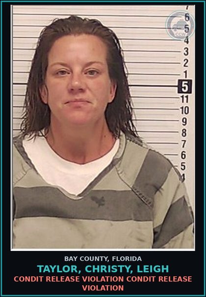 CCW arrest card for TAYLOR, CHRISTY, LEIGH in Bay County: CONDIT RELEASE VIOLATION CONDIT RELEASE VIOLATION