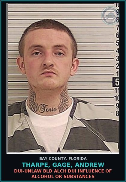 CCW arrest card for THARPE, GAGE, ANDREW in Bay County: DUI-UNLAW BLD ALCH DUI INFLUENCE OF ALCOHOL OR DRUGS